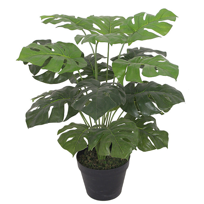 Artificial Monstera Plant | Monstera Plant | Everlasting Greenery Co.