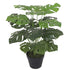 Artificial Monstera Plant | Monstera Plant | Everlasting Greenery Co.