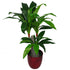 Artificial Dracaena Plant | Dracaena Trees | Everlasting Greenery Co.