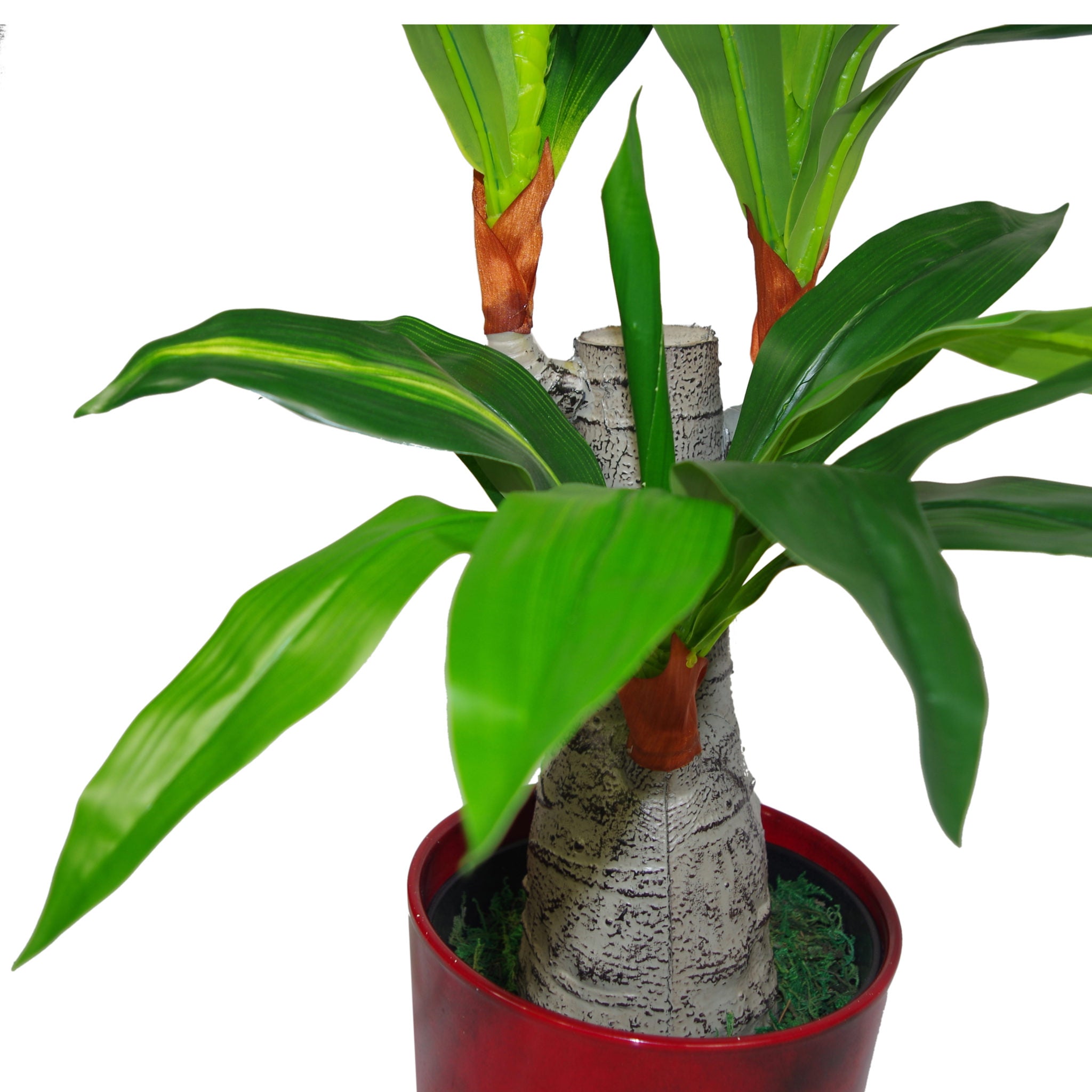 Artificial Dracaena Plant | Dracaena Trees | Everlasting Greenery Co.