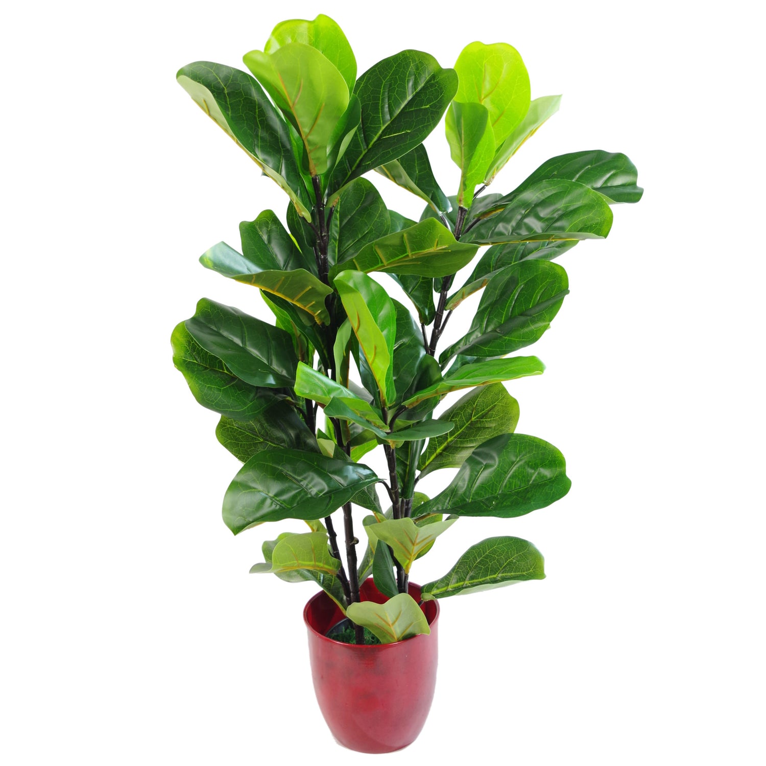 Artificial Fiddle-Leaf Fig - 90cm-4