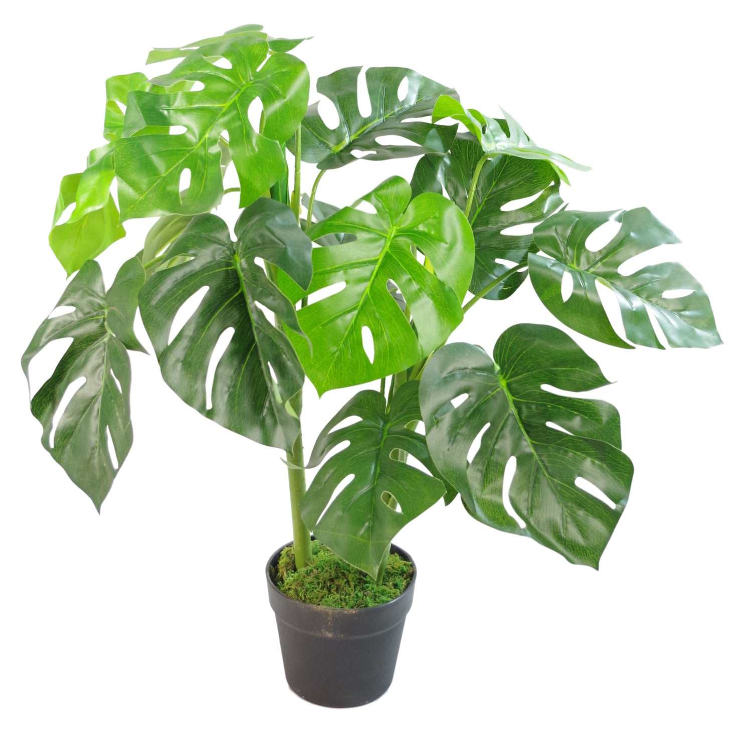 Faux Monstera Plant | Small Monstera Plant | Everlasting Greenery Co.