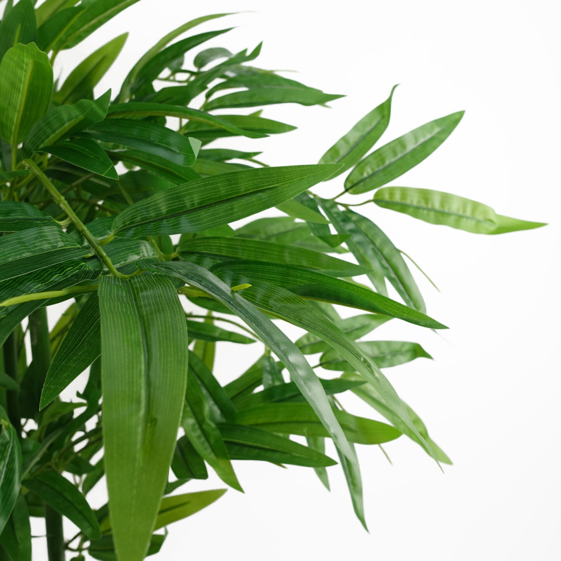 Artificial Bamboo Plant | Bamboo Tree | Everlasting Greenery Co.