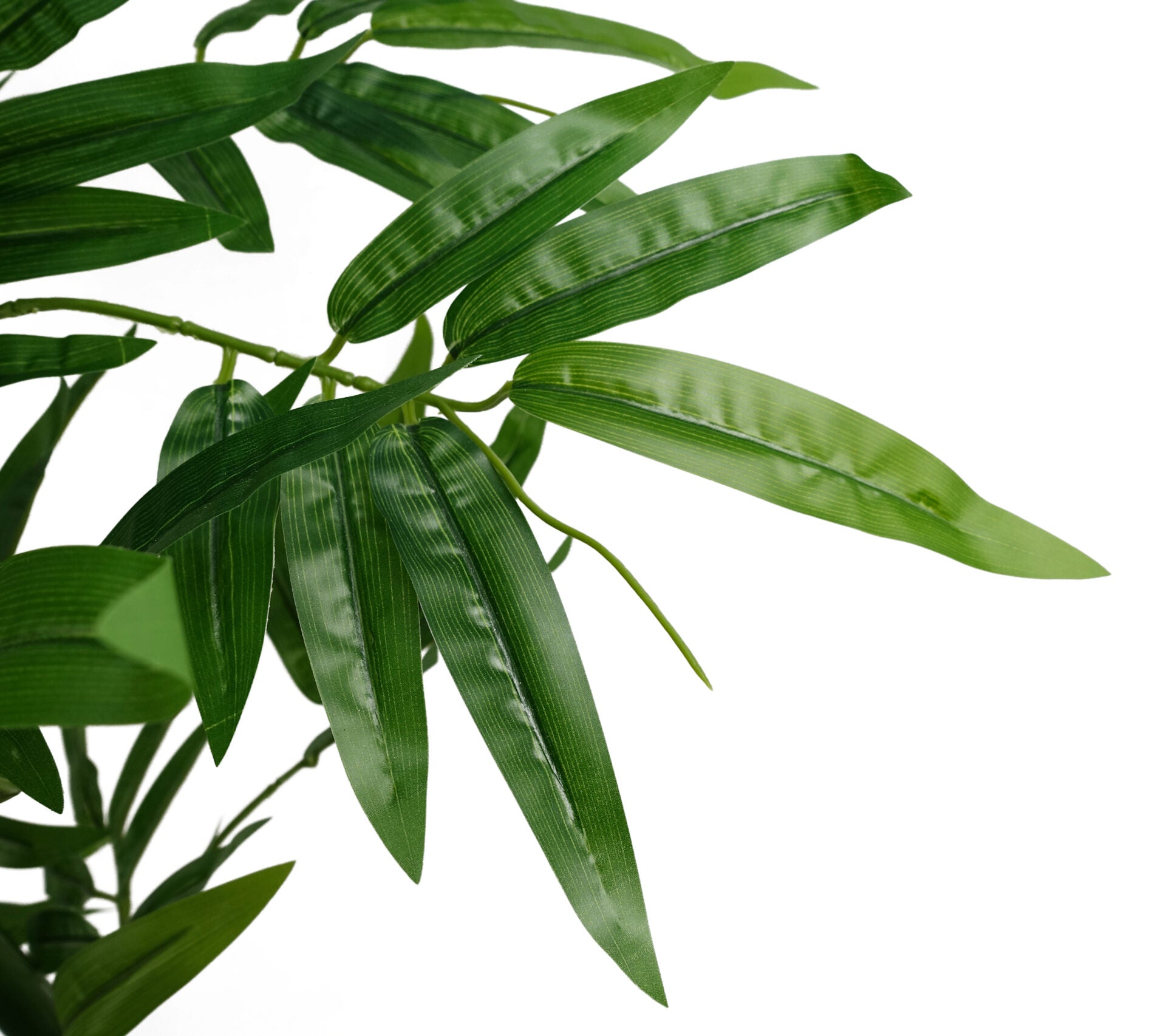 Artificial Bamboo Plant | Bamboo Tree | Everlasting Greenery Co.