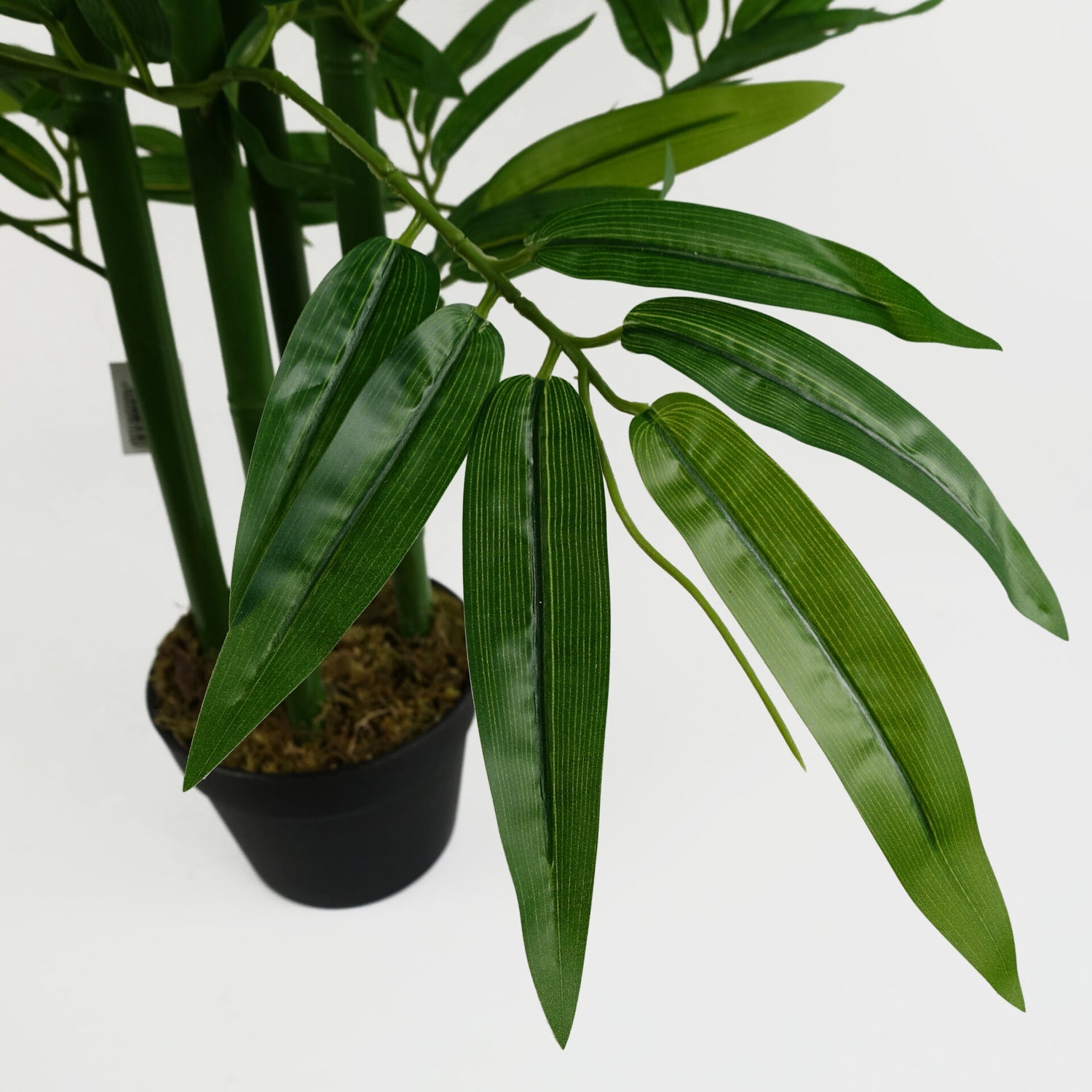 Artificial Bamboo Plant | Bamboo Tree | Everlasting Greenery Co.