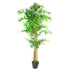 Indoor Bamboo Trees | Lucky Bamboo Plant | Everlasting Greenery Co.