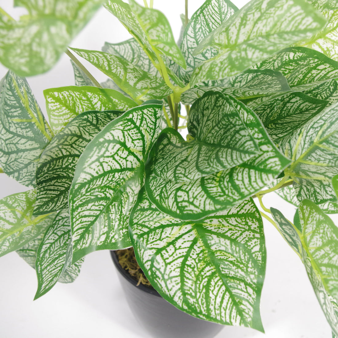 Artificial Caladium Plant | Caladium Plant | Everlasting Greenery Co.