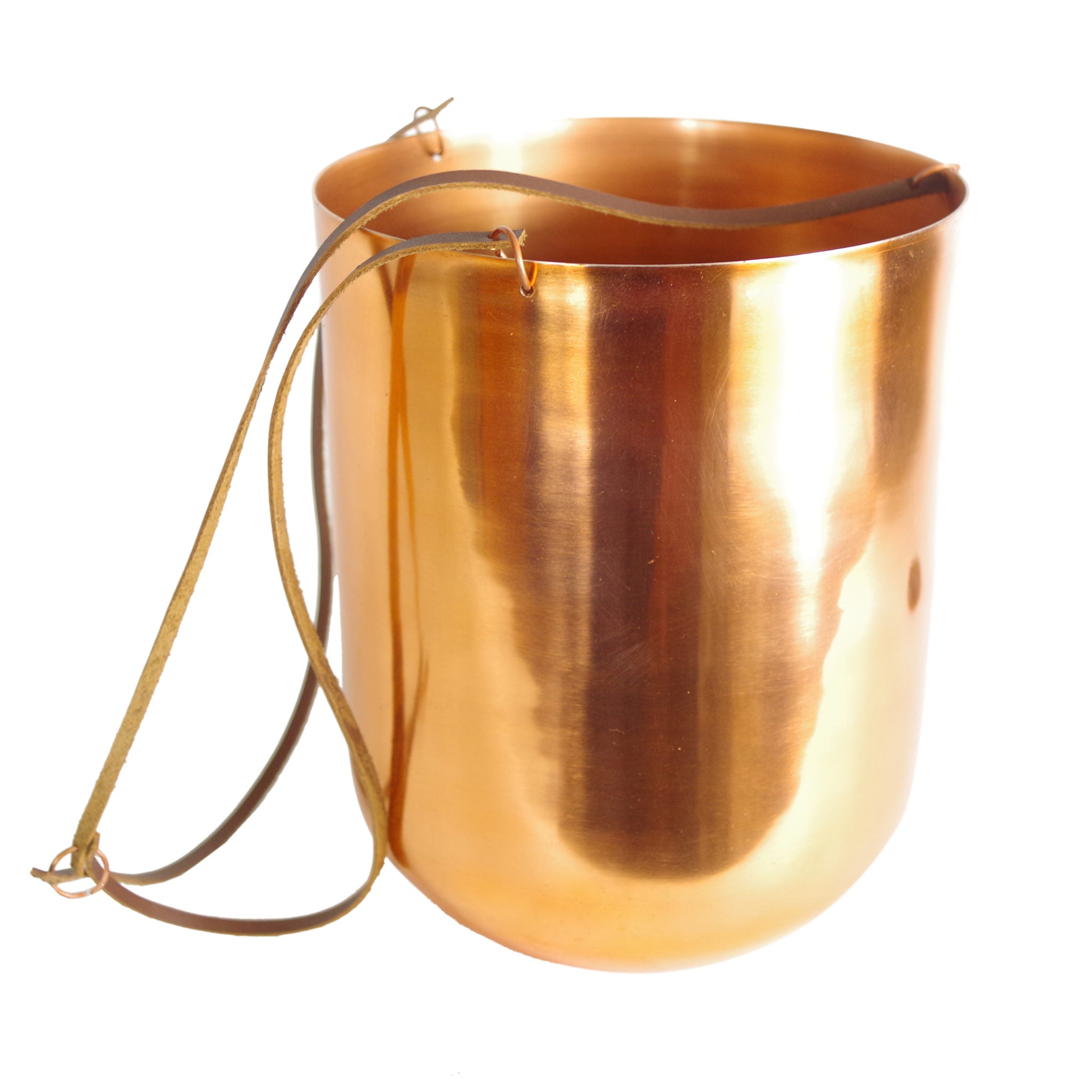 Hanging Copper Planter | Hanging Plants | Everlasting Greenery Co