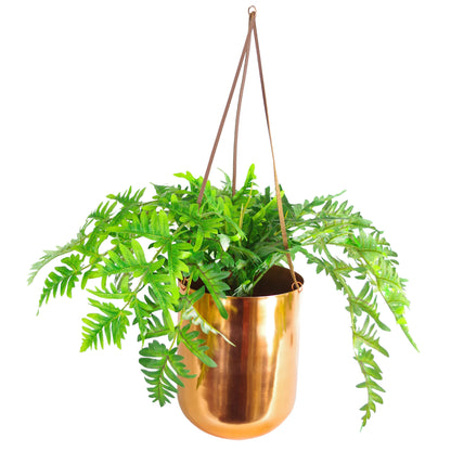 Hanging Copper Planter | Hanging Plants | Everlasting Greenery Co