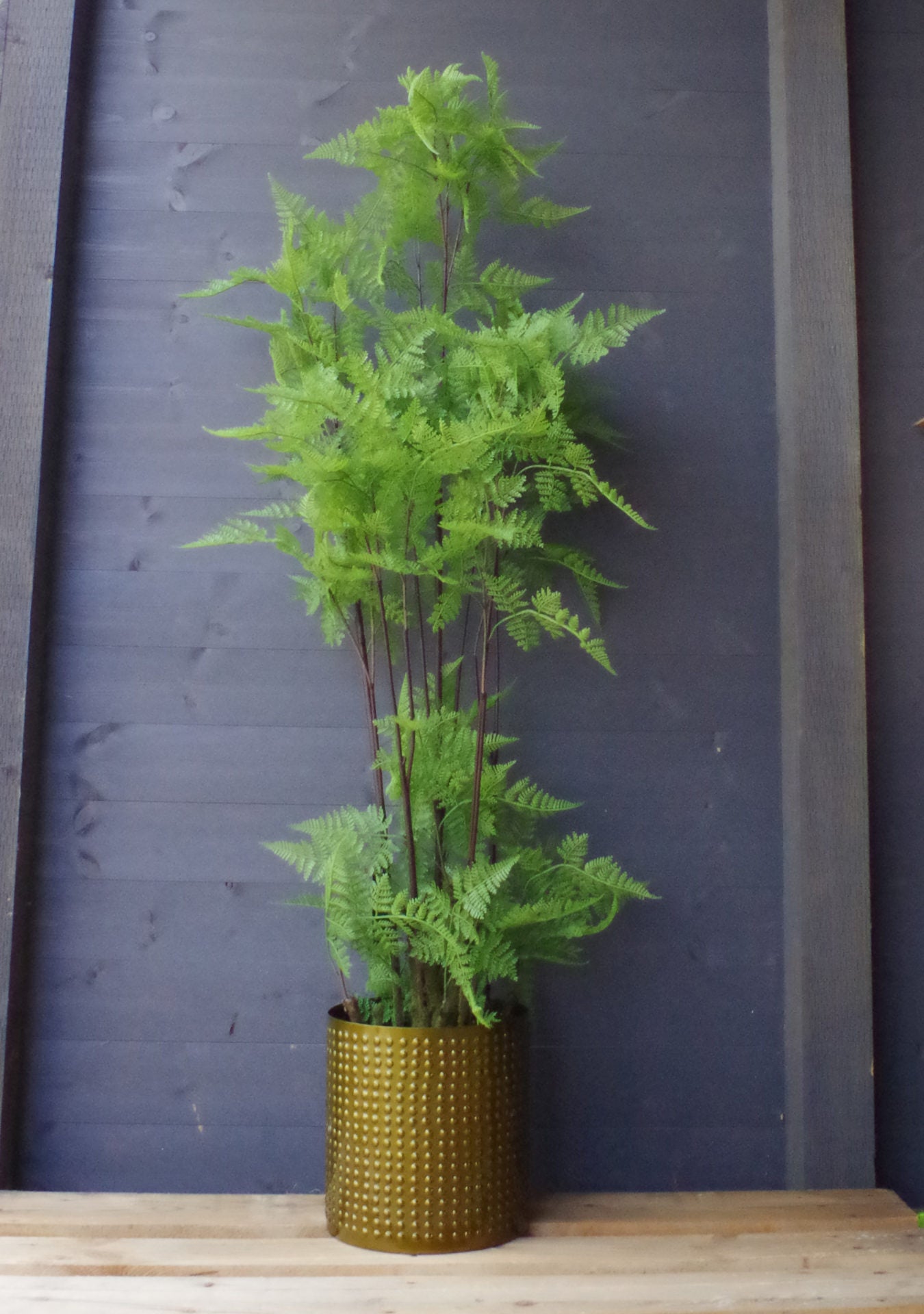 Artificial Fern Plant | Home Fern Plant | Everlasting Greenery Co.