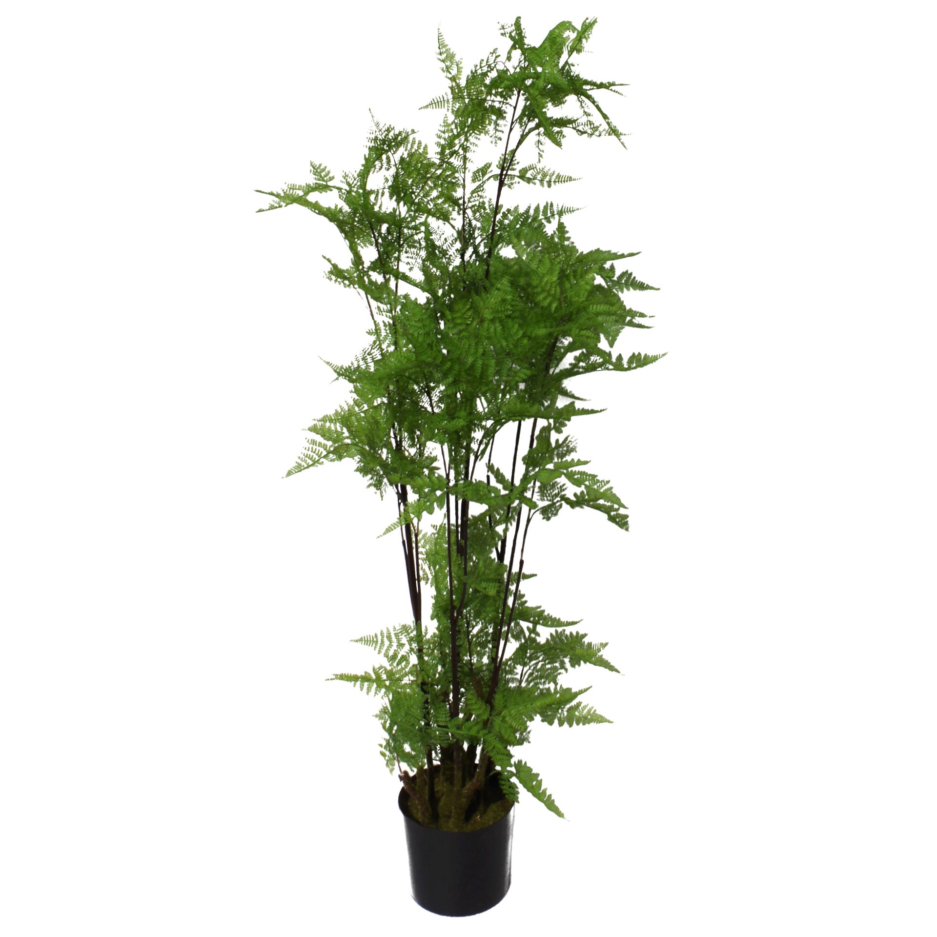 Artificial Fern Plant | Home Fern Plant | Everlasting Greenery Co.