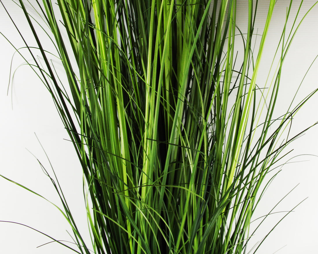 Onion Grass Plant | Fake Onion Plant | Everlasting Greenery Co.