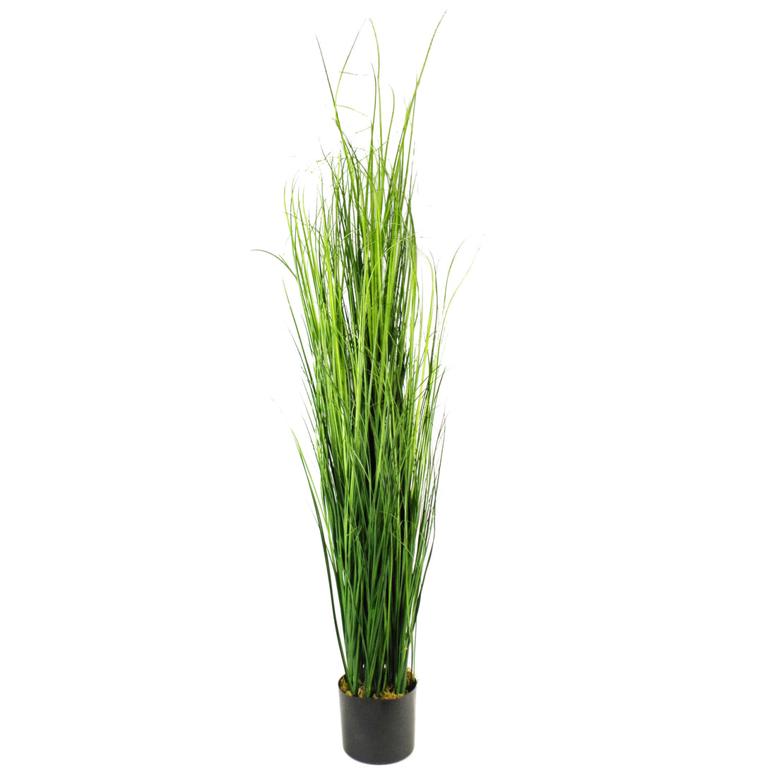 Onion Grass Plant | Fake Onion Plant | Everlasting Greenery Co.