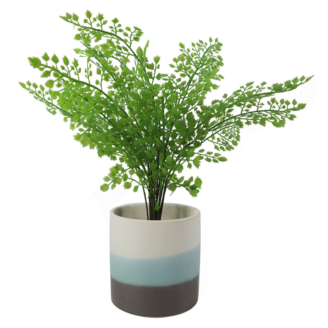 Blue Stripe Planter | Scalloped Planter | Everlasting Greenery Co