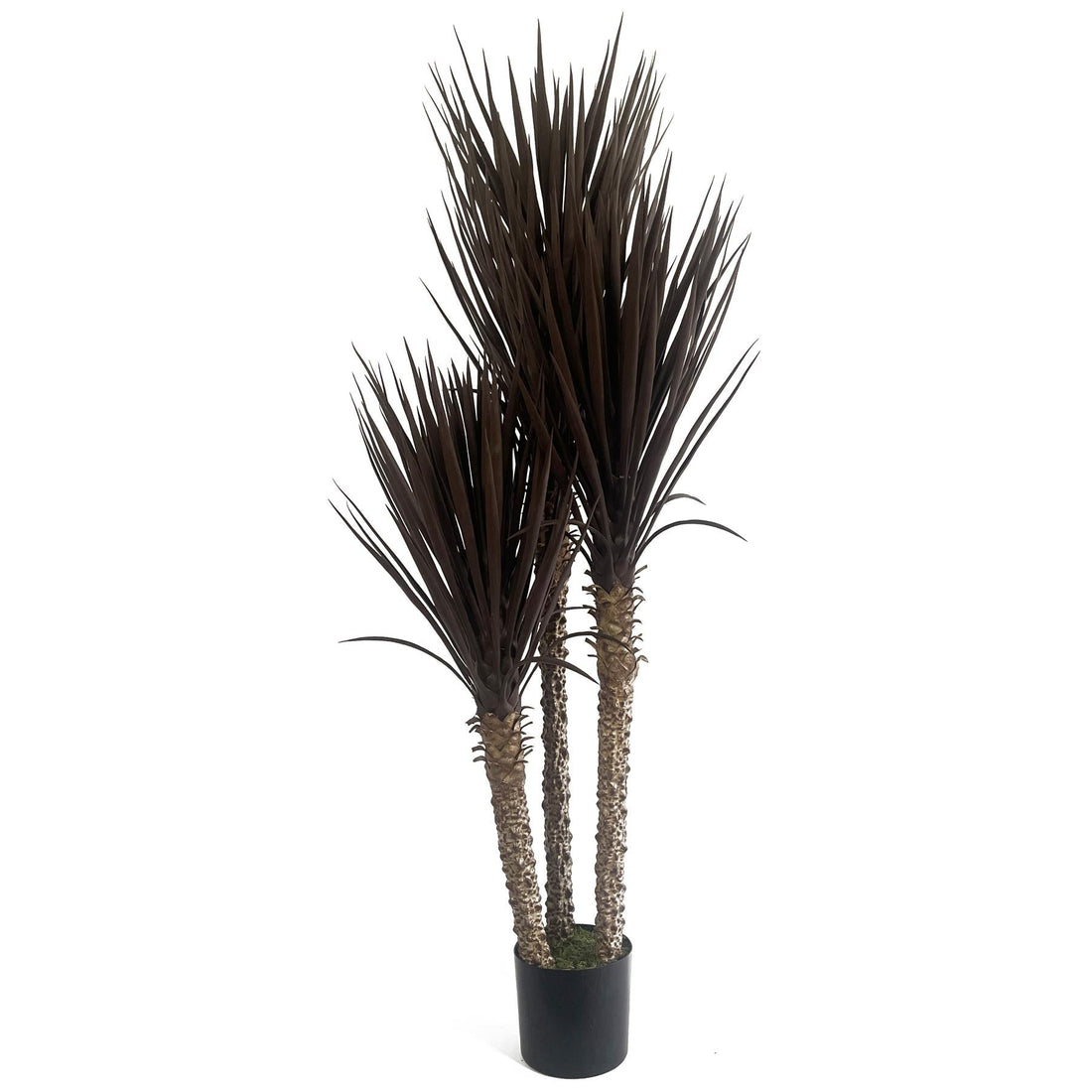 Artificial Tree Yukka Tropical 155cm Tall XXL Dark Yukka-0