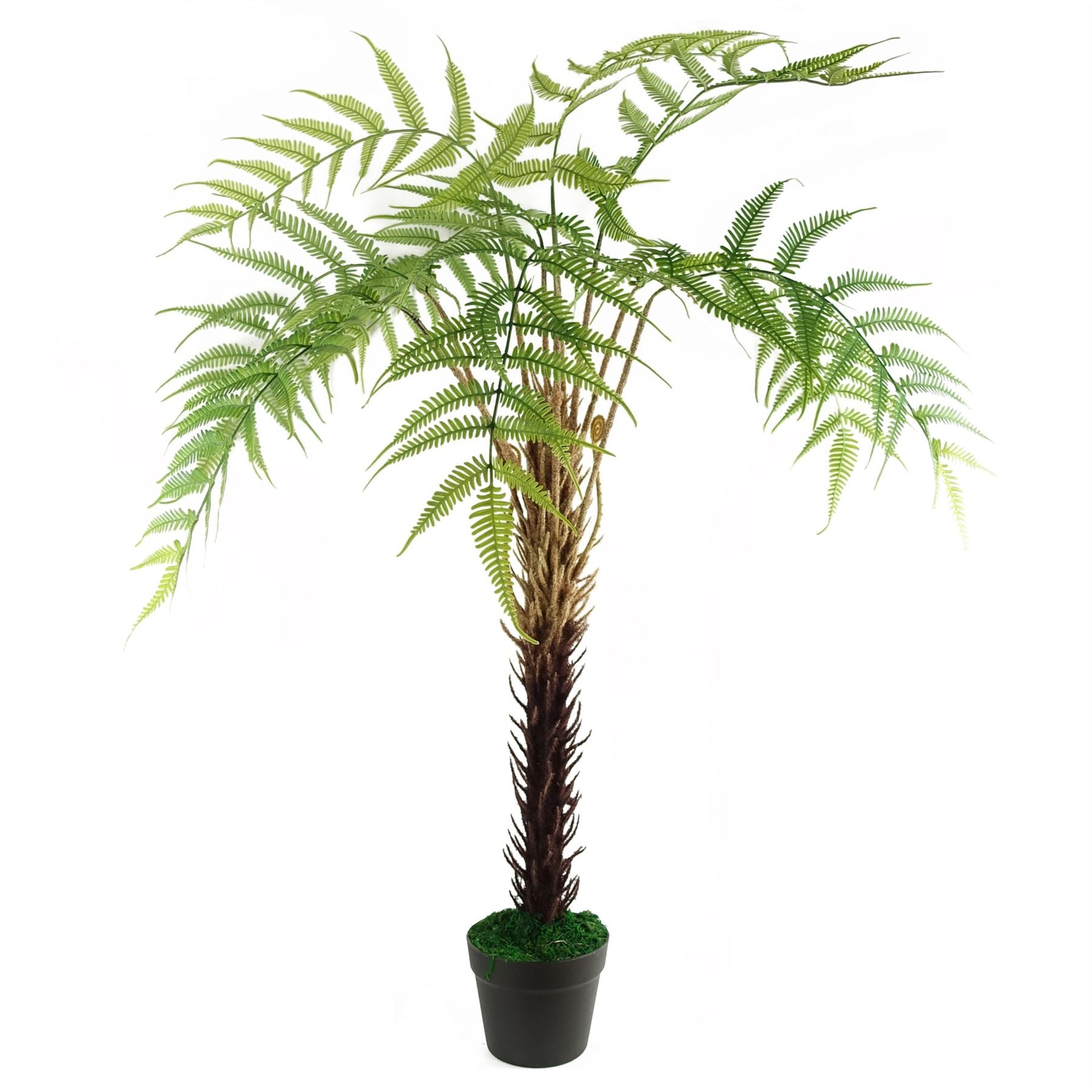 Artificial Fern Tree Look-0