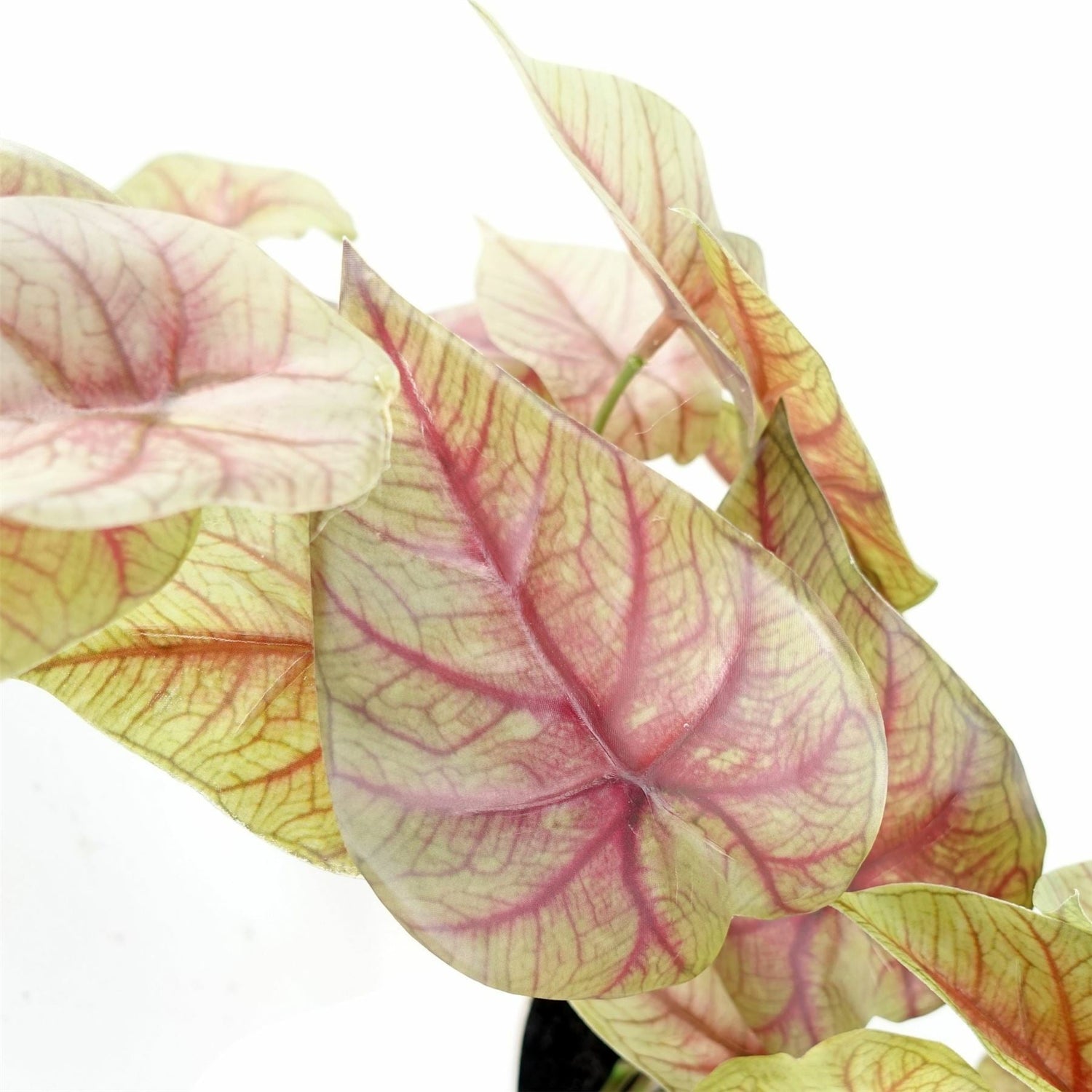 30cm Artificial Pink Caladium Trailing Plant-3