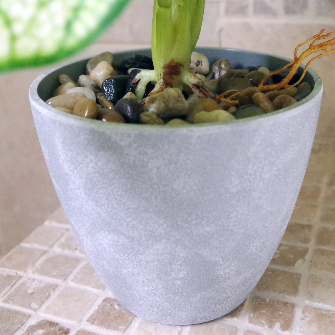 Artificial Plant Realistic Natural Taro in Decorative Planter Botanik-1