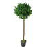 Artificial Bay Laurel Topiary Tree Green 120cm Trunk-0