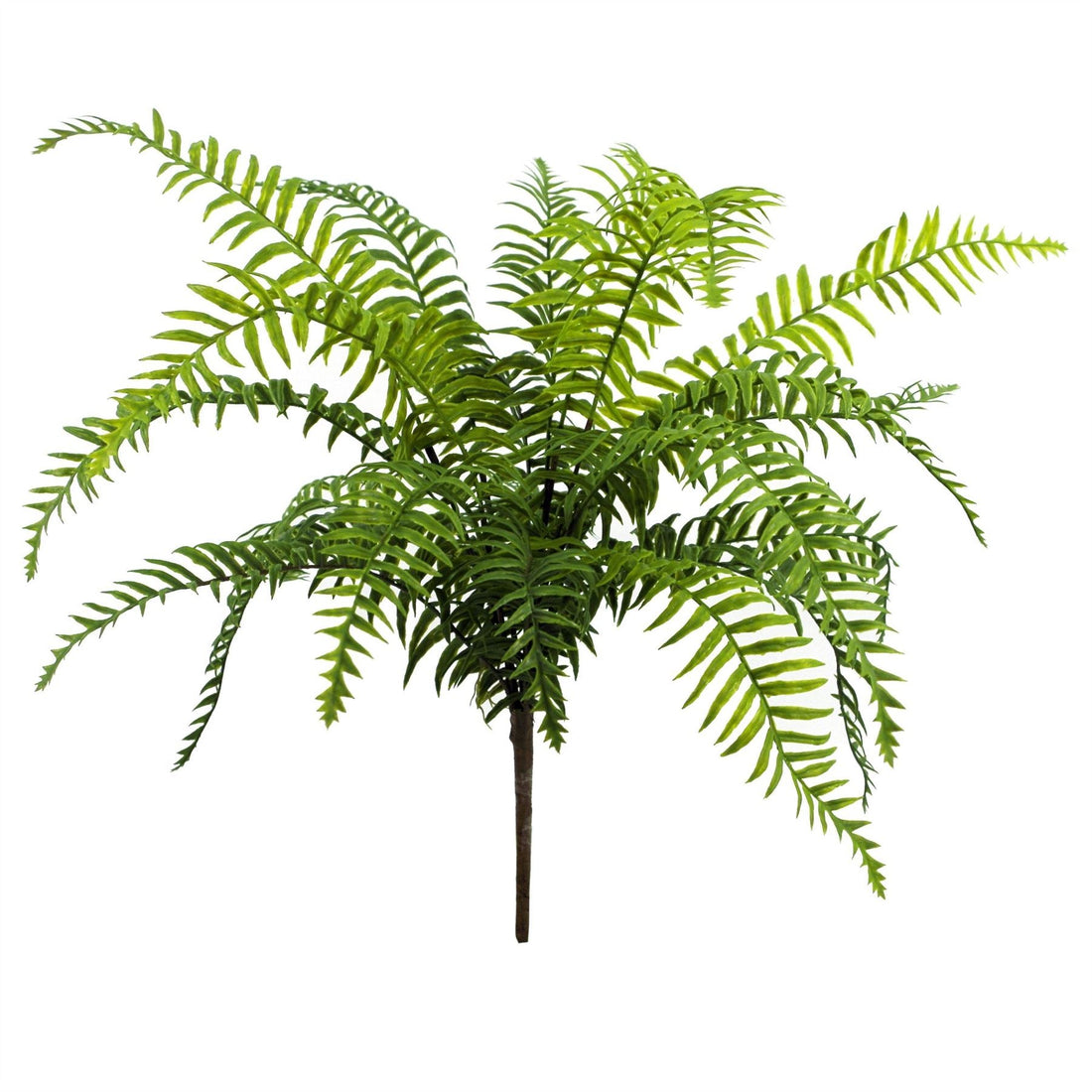 Fern Plant Artificial Realistic 50cm Artificial Boston Fronded Fern Plant-0