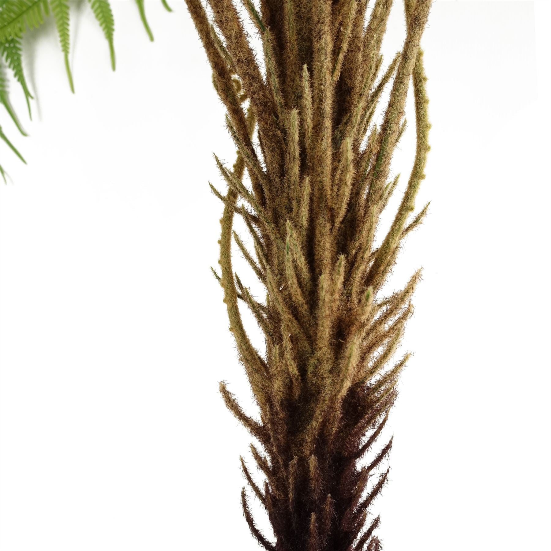Artificial Fern Tree Look-2