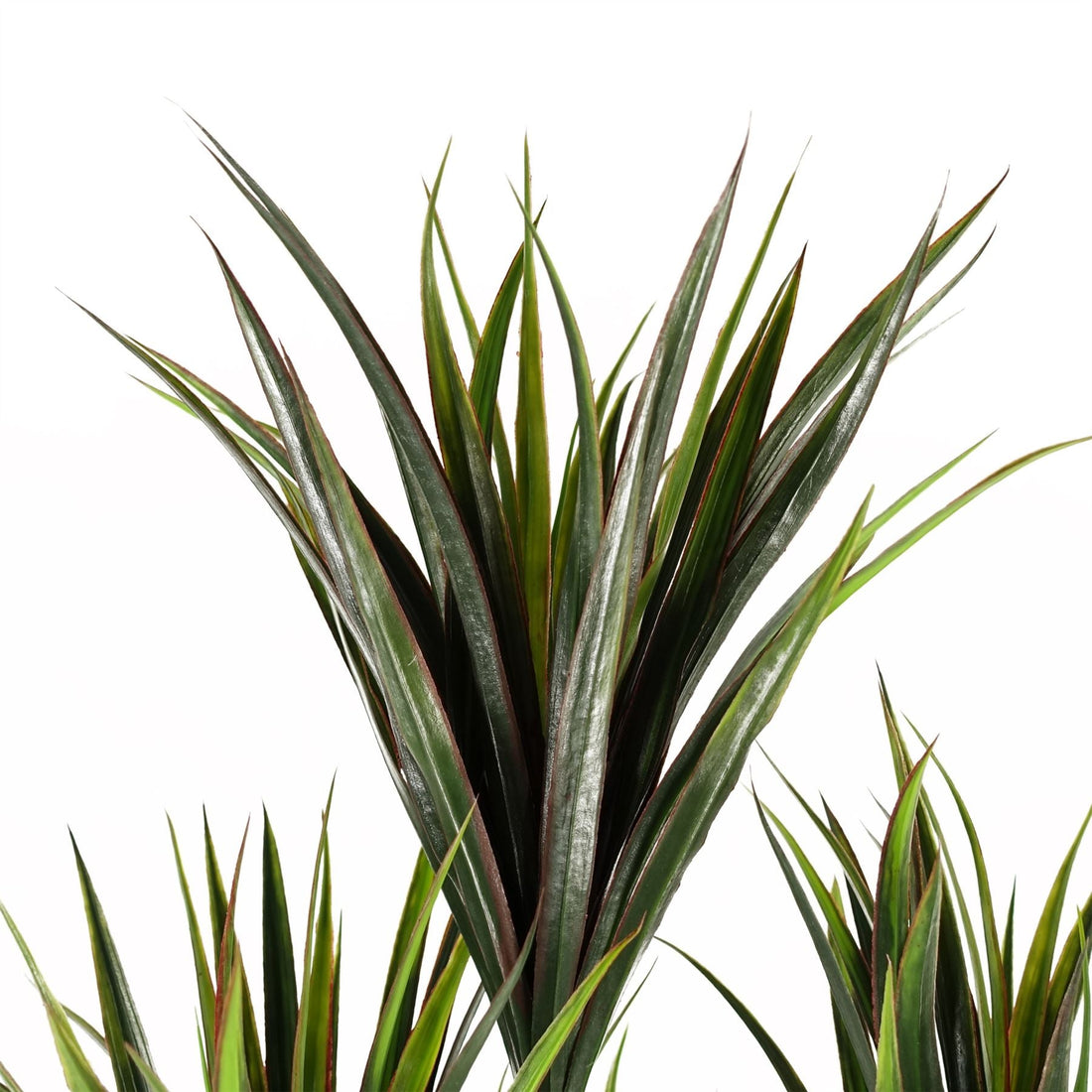 Artificial Tropical Yucca Tree with 179 Leaves UV PROTECTED OUTDOOR Botanik-1