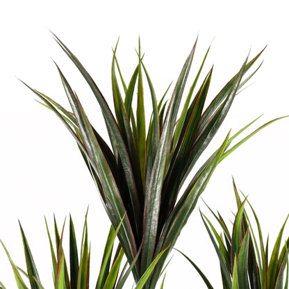 Artificial Tropical Yucca Tree with 179 Leaves UV PROTECTED OUTDOOR Botanik-1
