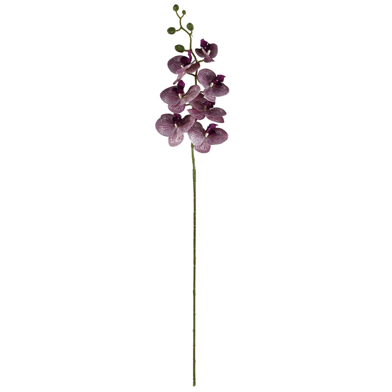 Leaf 70cm Grey Glass Vase Artificial Orchids and Roses-2