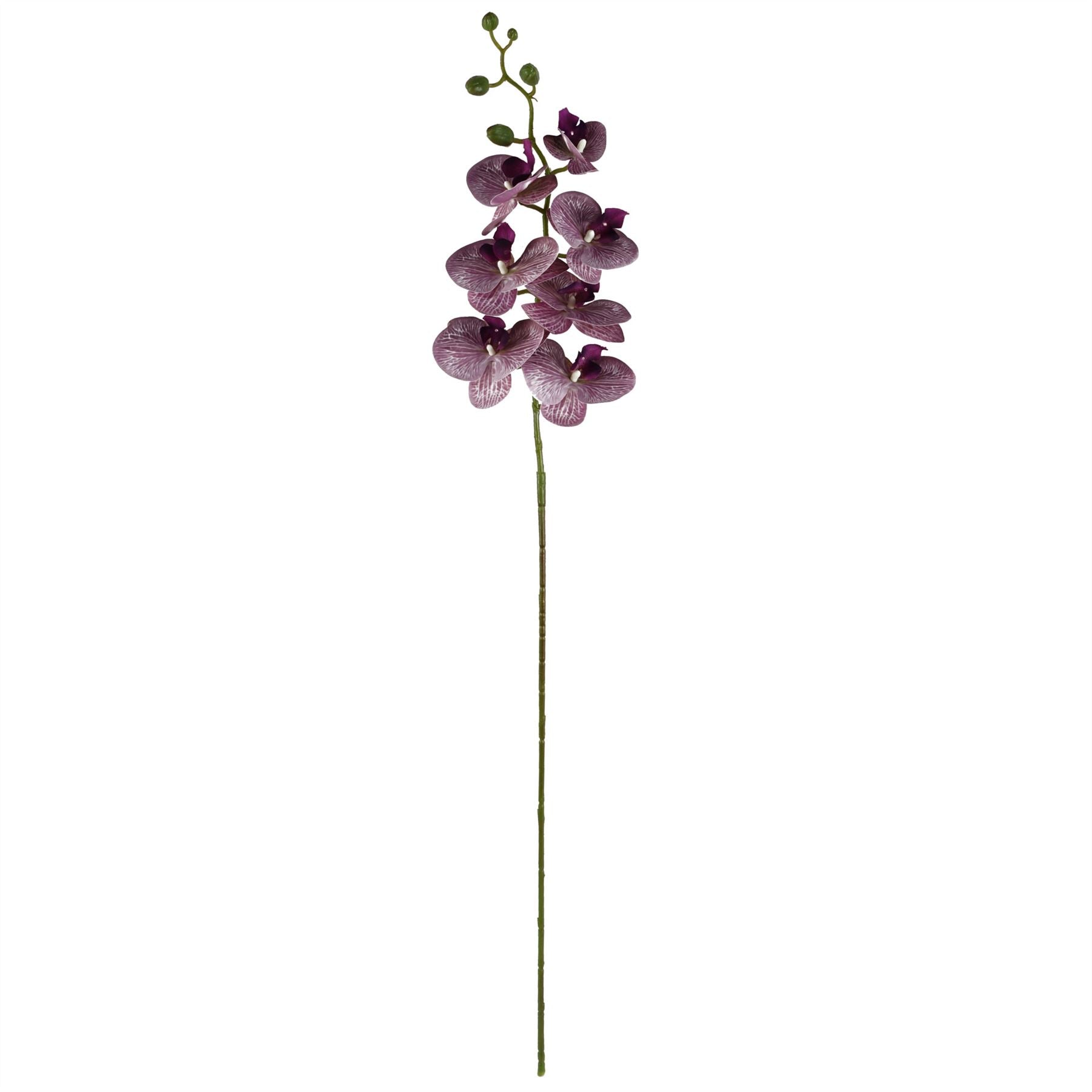 Leaf 70cm Grey Glass Vase Artificial Orchids and Roses-2