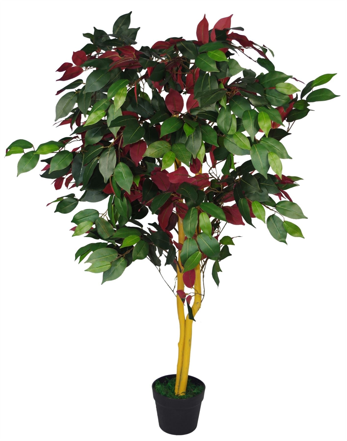 Artificial Ficus Tree Plant Red Green Capensia 120cm Plants-4