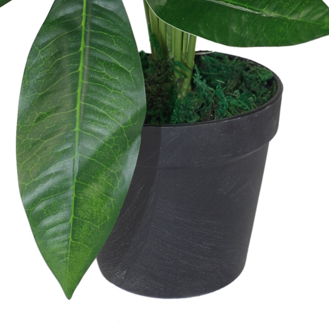 Artificial Foliage Plant Pot 50cm Artificial Money Tree Plants-1