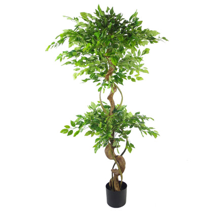 Japanese Fruticosa Ficus Tree Copper Planter 150cm-4