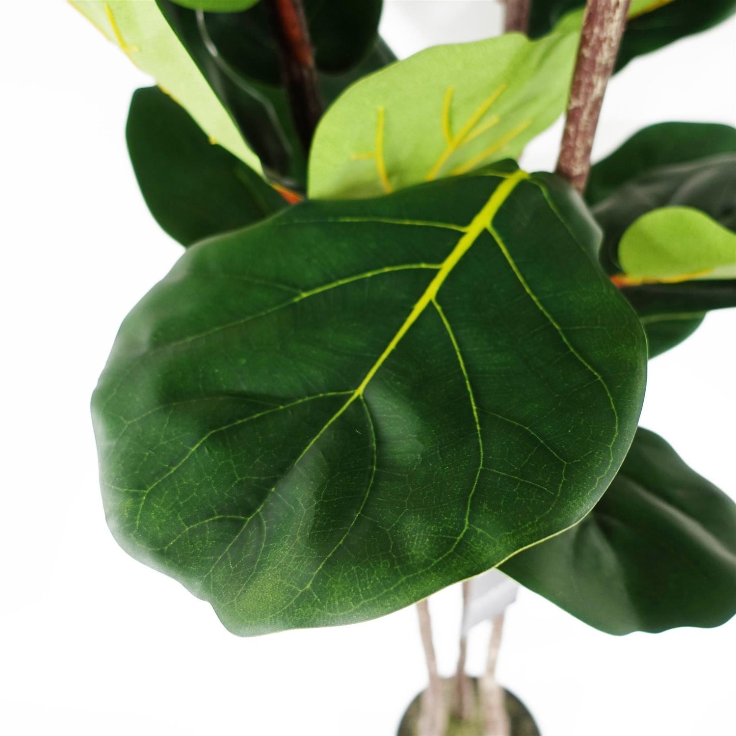 Large Fiddle Fig Tree Artificial 120cm Premium Plant-3