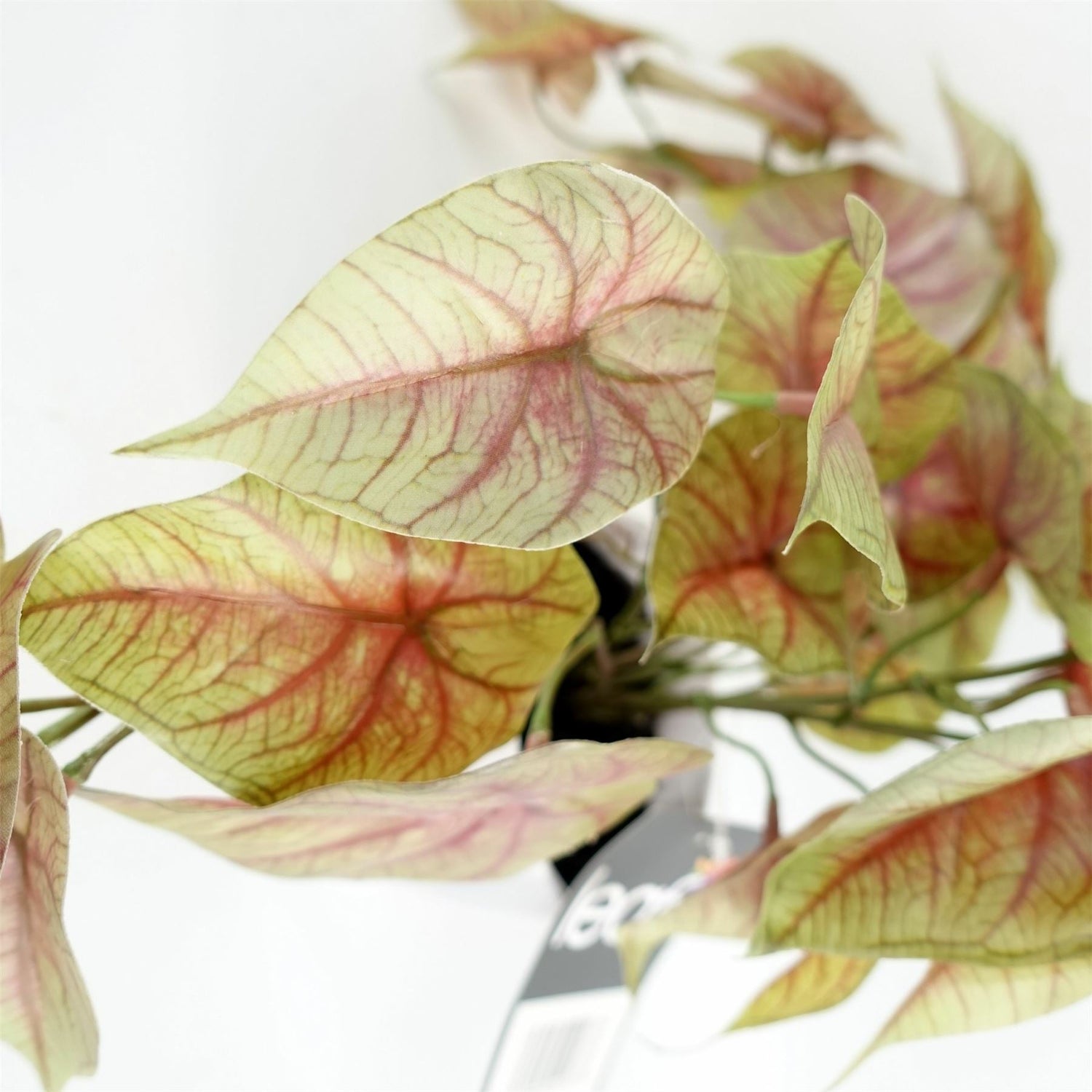 30cm Artificial Pink Caladium Trailing Plant-2