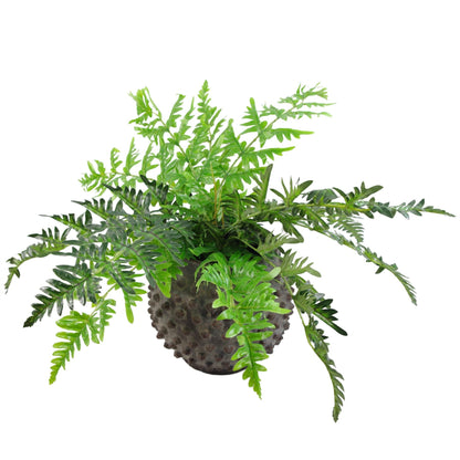 Artificial Fern Plant 50cm Fern Plants-1