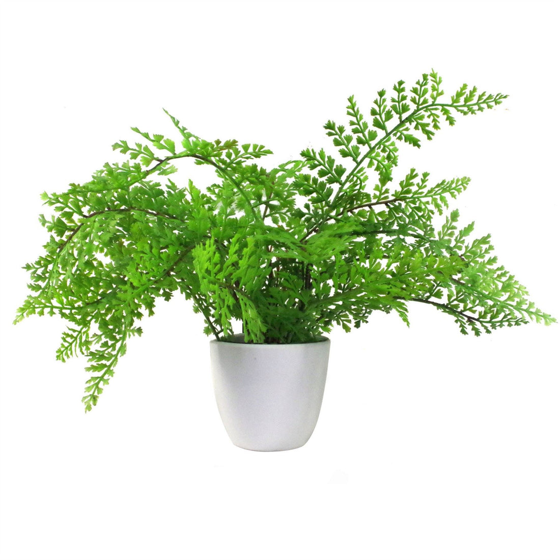 Artificial Fern Plant 30cm Forest Fern 30cm Display-0