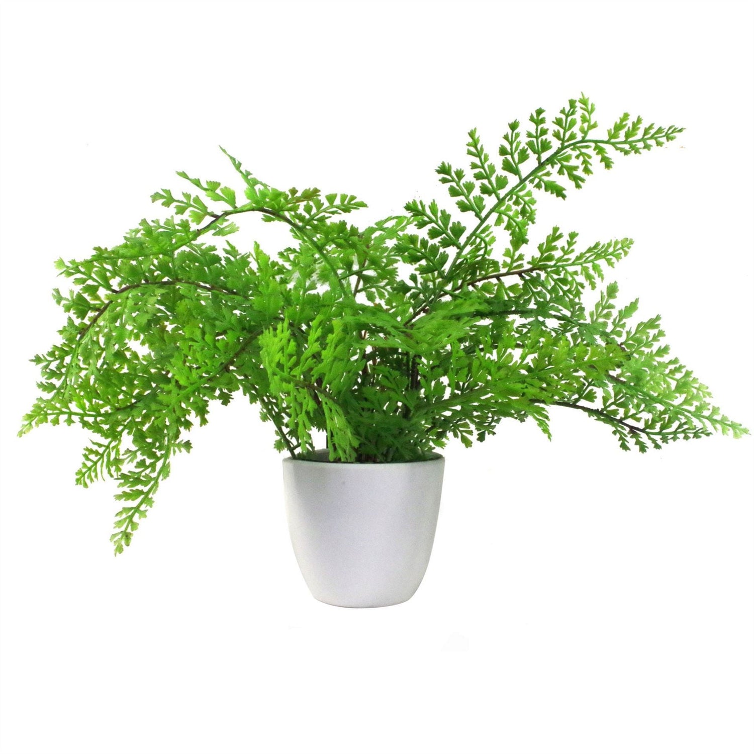 Artificial Fern Plant 30cm Forest Fern 30cm Display-0
