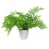 Artificial Fern Plant 30cm Forest Fern 30cm Display-0