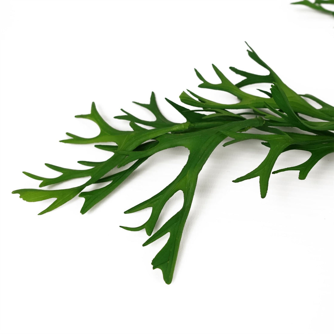 Artificial Staghorn Fern Botanik-1